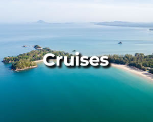 Traveler Services - Cruises